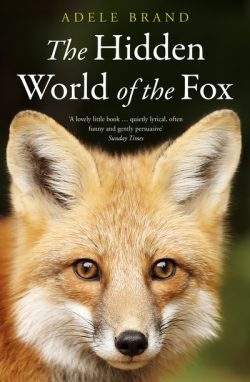 The hidden world of the fox