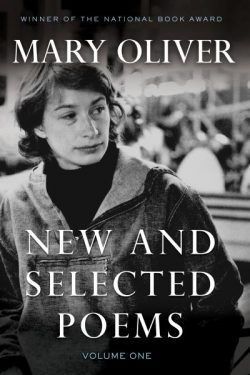 New and selected poems. Volume one