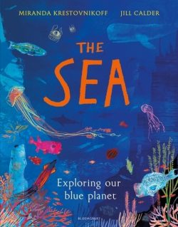 The sea