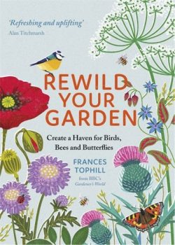 Rewild your garden