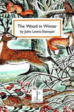The wood in winter