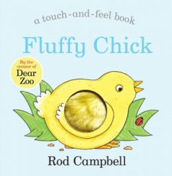 Fluffy chick