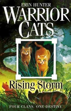 Rising storm