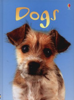 Dogs