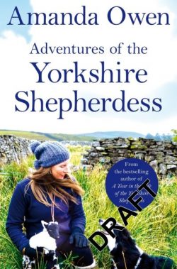 Adventures of the Yorkshire shepherdess