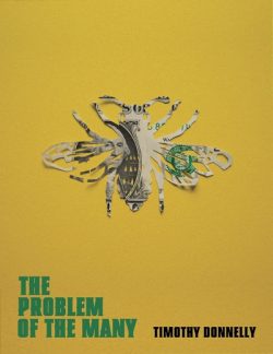 The problem of the many