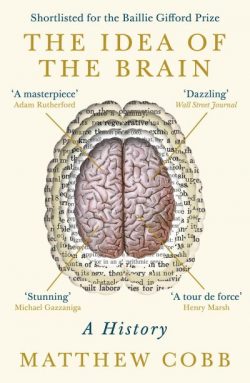 The idea of the brain
