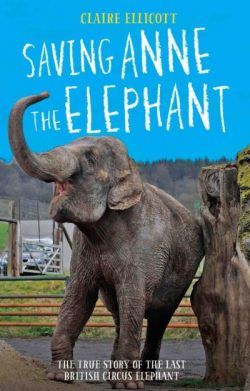 Saving Anne the elephant
