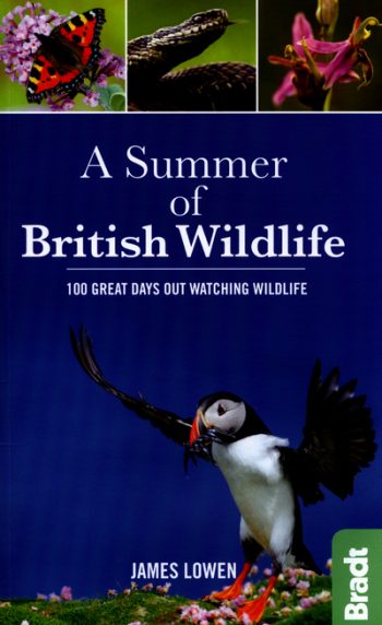 A Summer of British Wildlife