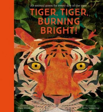 Tiger, tiger, burning bright!