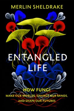 Entangled life
