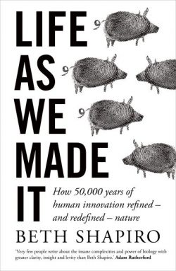 Life As We Made It