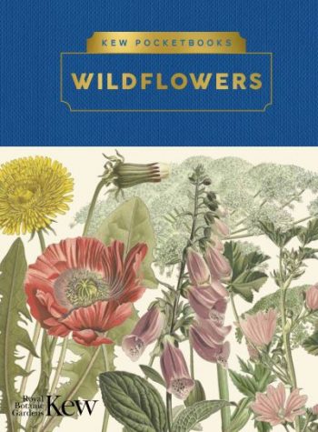 Wildflowers