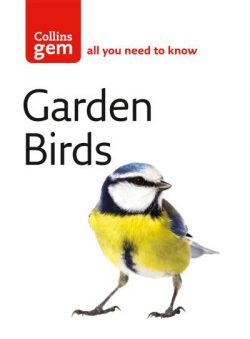 Garden birds