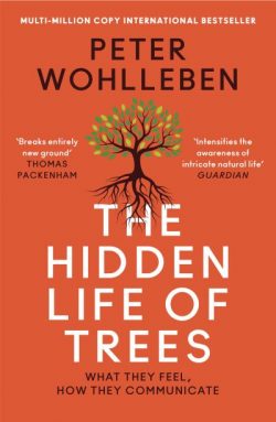 The hidden life of trees